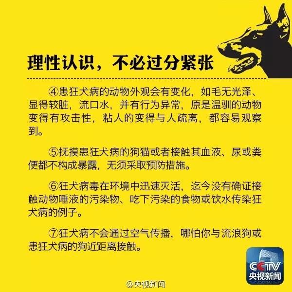 被小奶猫咬了要打针吗 请正确认识狂犬病被小奶猫咬了要打针吗 请正确认识狂犬病被小奶猫咬了要打针吗 请正确认识狂犬病