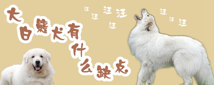 大白熊犬有什么缺点