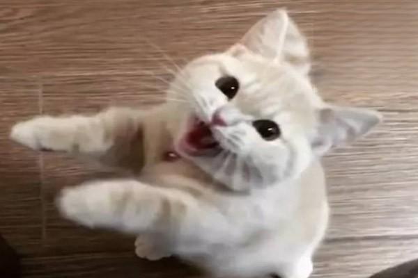 1613824575400442.jpg 51.jpg