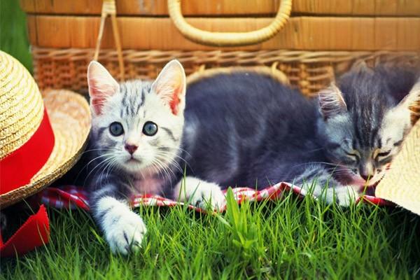 1610198700836576.jpg 104.jpg