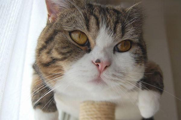 1610618436688238.jpg 26.jpg