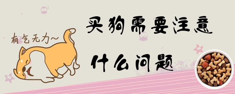 买狗需要注意什么问题