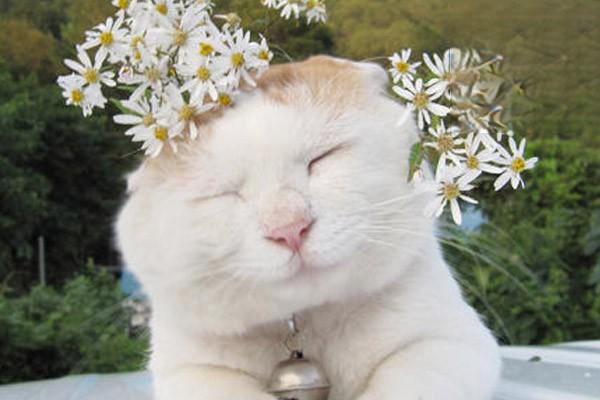 1610198668291154.jpg 69.jpg