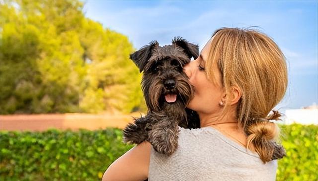 爱狗人士，这些行为真让人头疼!