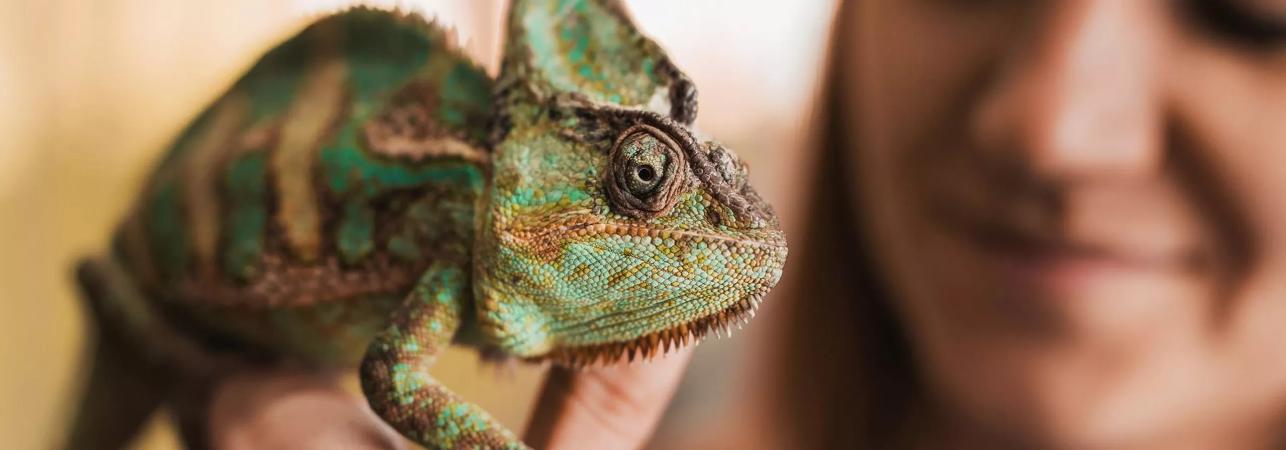 岁月静好，全靠它们卖萌治愈。